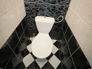 Prodej bytu 2+1, Litvínov, Vinohradská, 55 m2