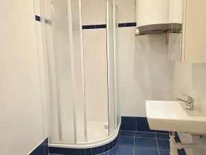 Pronájem bytu 2+1, Praha - Žižkov, Ambrožova, 81 m2