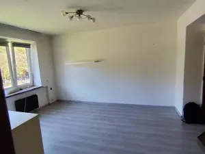 Prodej bytu 2+1, Rudník, 55 m2