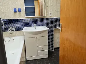 Pronájem rodinného domu, Ostrava, Jedlová, 180 m2