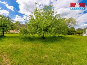 Prodej zahrady, Klatovy - Čínov, 730 m2