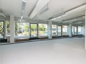 Pronájem kanceláře, Praha - Nusle, Lomnického, 44 m2