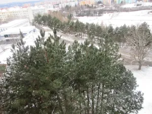 Prodej bytu 3+1, Brno, Konradova, 80 m2