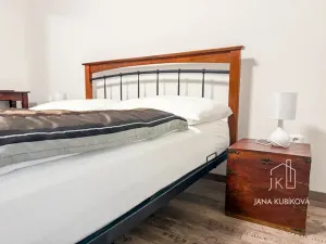 Pronájem ubytování, Valtice, Josefská, 251 m2