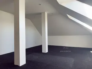 Prodej rodinného domu, Těmice, 252 m2