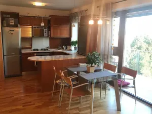 Pronájem pokoje, Brno, Gorkého, 13 m2