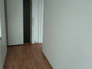 Pronájem bytu 1+1, Žatec, Růžová, 40 m2