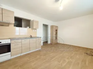 Pronájem bytu 2+kk, České Budějovice, 44 m2