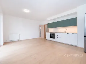 Pronájem bytu 1+kk, Heřmanova Huť, U Pondu, 35 m2