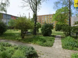 Pronájem bytu 2+1, Olomouc, Božetěchova, 58 m2