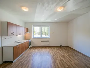 Pronájem bytu 1+kk, Olomouc, Edisonova, 35 m2