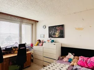 Prodej rodinného domu, Brno, Kupkova, 176 m2