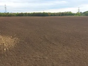 Pronájem komerčního pozemku, Kosoř, 16090 m2