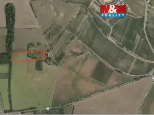 Prodej pole, Přítluky - Nové Mlýny, 5724 m2