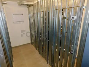 Pronájem bytu 1+kk, Plzeň, Pallova, 29 m2