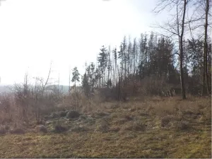 Prodej pozemku, Tábor - Čelkovice, 1007 m2