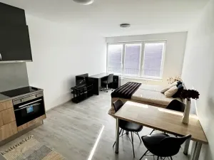 Pronájem bytu 1+kk, Pardubice, Pod Vinicí, 33 m2