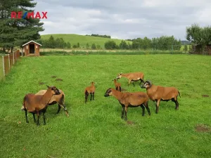 Prodej chalupy, Stará Červená Voda, 130 m2