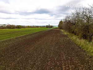 Prodej pozemku pro bydlení, Brno, 2814 m2