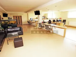 Pronájem komerční nemovitosti, Kojetice, 74 m2