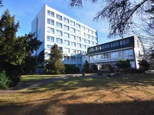 Pronájem kanceláře, České Budějovice, Rudolfovská tř., 101 m2