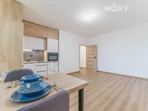 Pronájem bytu 1+kk, Ostrava, Aleše Hrdličky, 25 m2