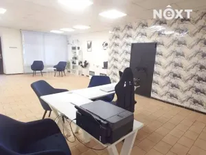 Prodej vícegeneračního domu, Mimoň, Mírová, 470 m2