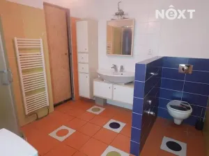 Prodej vícegeneračního domu, Mimoň, Mírová, 470 m2