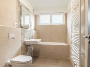 Pronájem bytu 1+kk, Heřmanova Huť, U Pondu, 34 m2