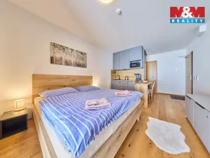 Prodej bytu 1+kk, Janské Lázně, Modrokamenná, 34 m2
