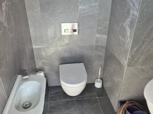 Prodej rodinného domu, Staré Hradiště, 365 m2