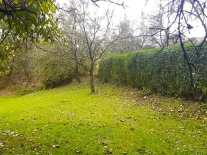 Prodej zahrady, Libina, 239 m2