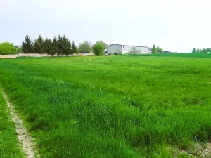 Prodej pozemku pro bydlení, Stavenice, 1905 m2