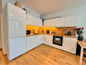 Pronájem bytu 2+kk, Praha - Holešovice, Jankovcova, 79 m2