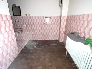 Prodej rodinného domu, Pitín, 341 m2