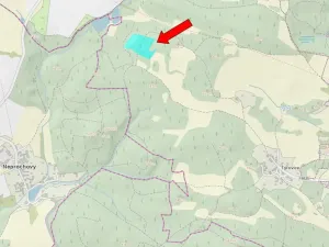 Prodej lesa, Pačejov, 15990 m2