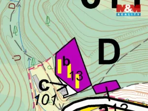 Prodej lesa, Ústí nad Orlicí - Oldřichovice, 2745 m2