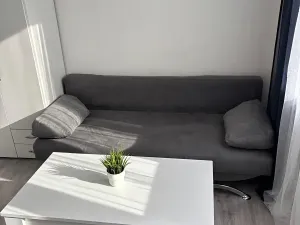 Pronájem bytu 1+kk, Chodov, Jiráskova, 19 m2