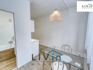 Pronájem bytu 2+1, Olomouc, Jílová, 60 m2