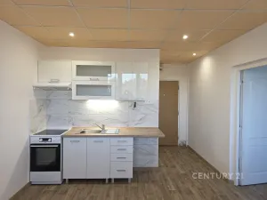 Pronájem bytu 1+1, Chomutov, Kamenná, 35 m2