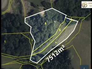 Prodej louky, Dlouhomilov, 7512 m2