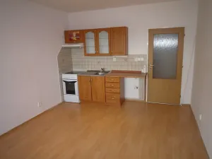 Pronájem bytu 1+kk, Liberec, Hroznová, 28 m2