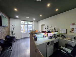 Pronájem obchodního prostoru, Praha - Žižkov, Hartigova, 55 m2