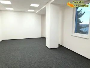 Pronájem kanceláře, Ostrava, Záhumenní, 19 m2