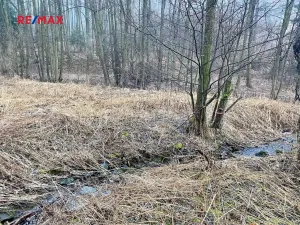 Prodej pozemku, Ondřejov, 8264 m2