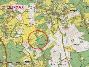 Prodej rybníku, Ondřejov, 8264 m2