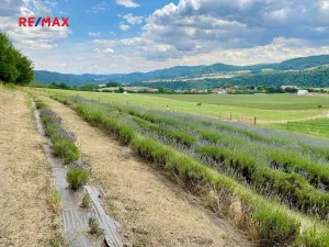 Prodej rodinného domu, Nezabudice, 410 m2