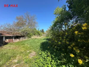 Prodej rodinného domu, Kralovice, Na Palcátech, 220 m2