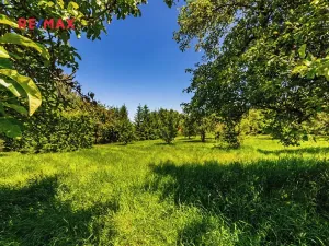 Prodej chalupy, Medový Újezd, 218 m2