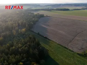 Prodej lesa, Všehrdy, 35057 m2